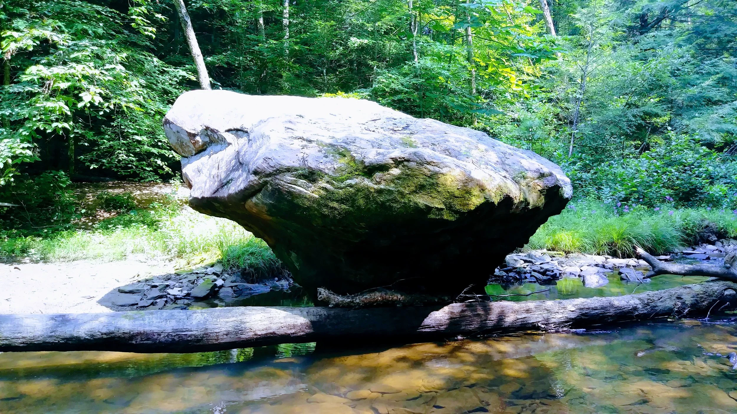 Swift Camp Creek, Wildcat, and Angel Windows Loop — Kentucky Hiker